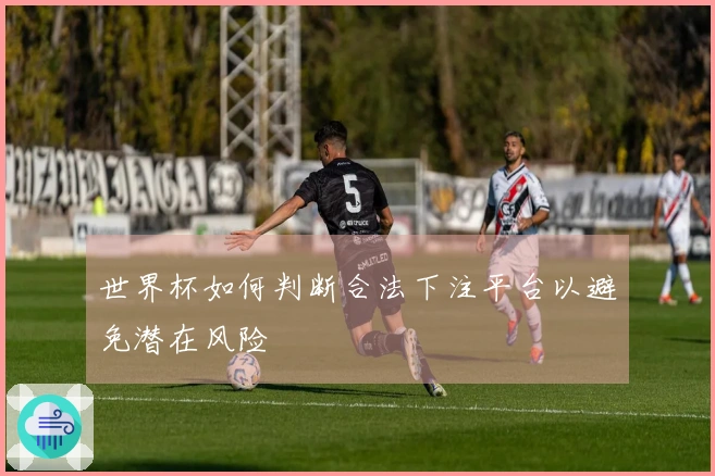 世界杯如何判断合法下注平台以避免潜在风险