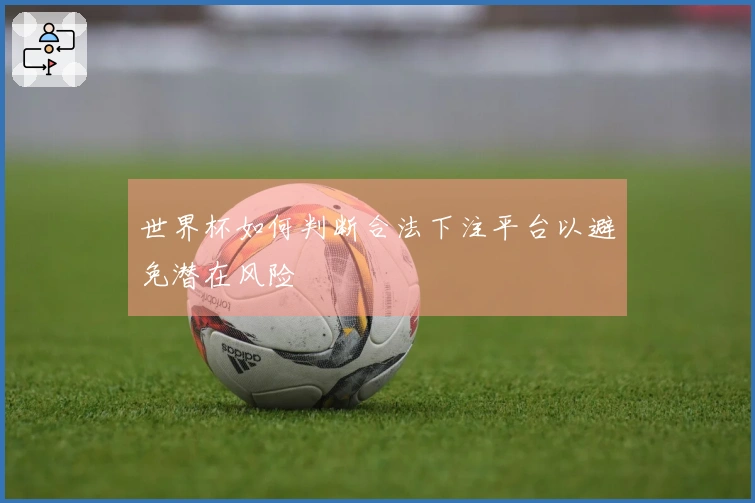 世界杯如何判断合法下注平台以避免潜在风险