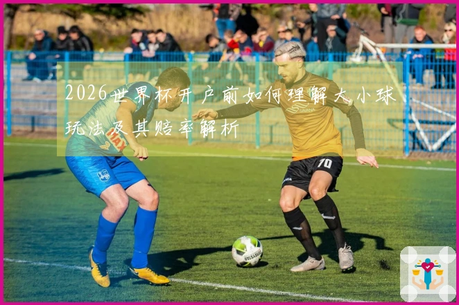 2026世界杯开户前如何理解大小球玩法及其赔率解析