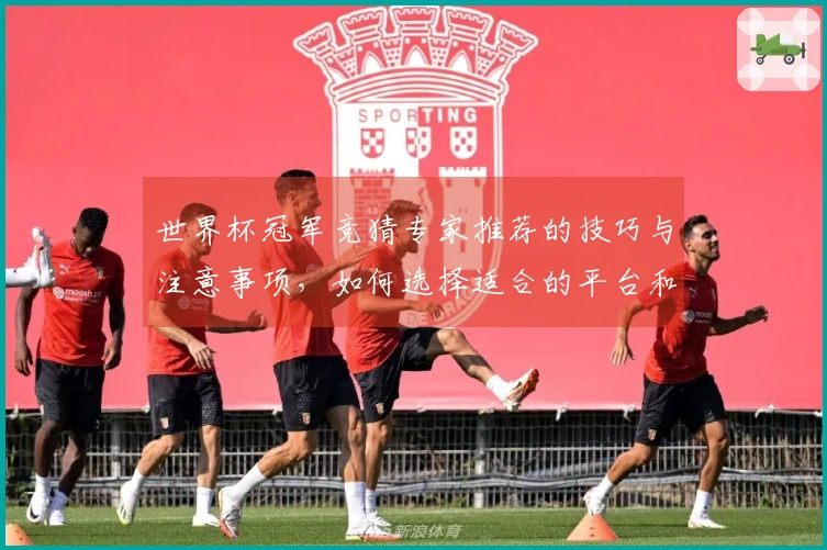 世界杯冠军竞猜专家推荐的技巧与注意事项，如何选择适合的平台和判断可靠性