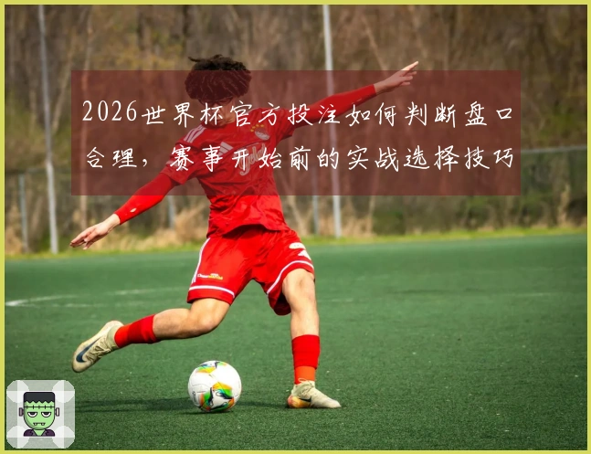 2026世界杯官方投注如何判断盘口合理，赛事开始前的实战选择技巧